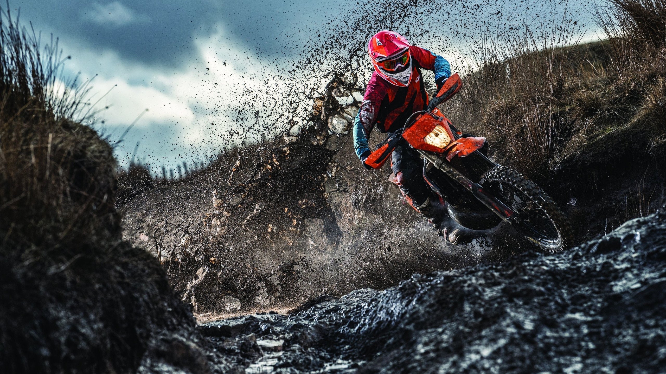 Cloud9官方分析内容受粉丝欢迎,cloud09